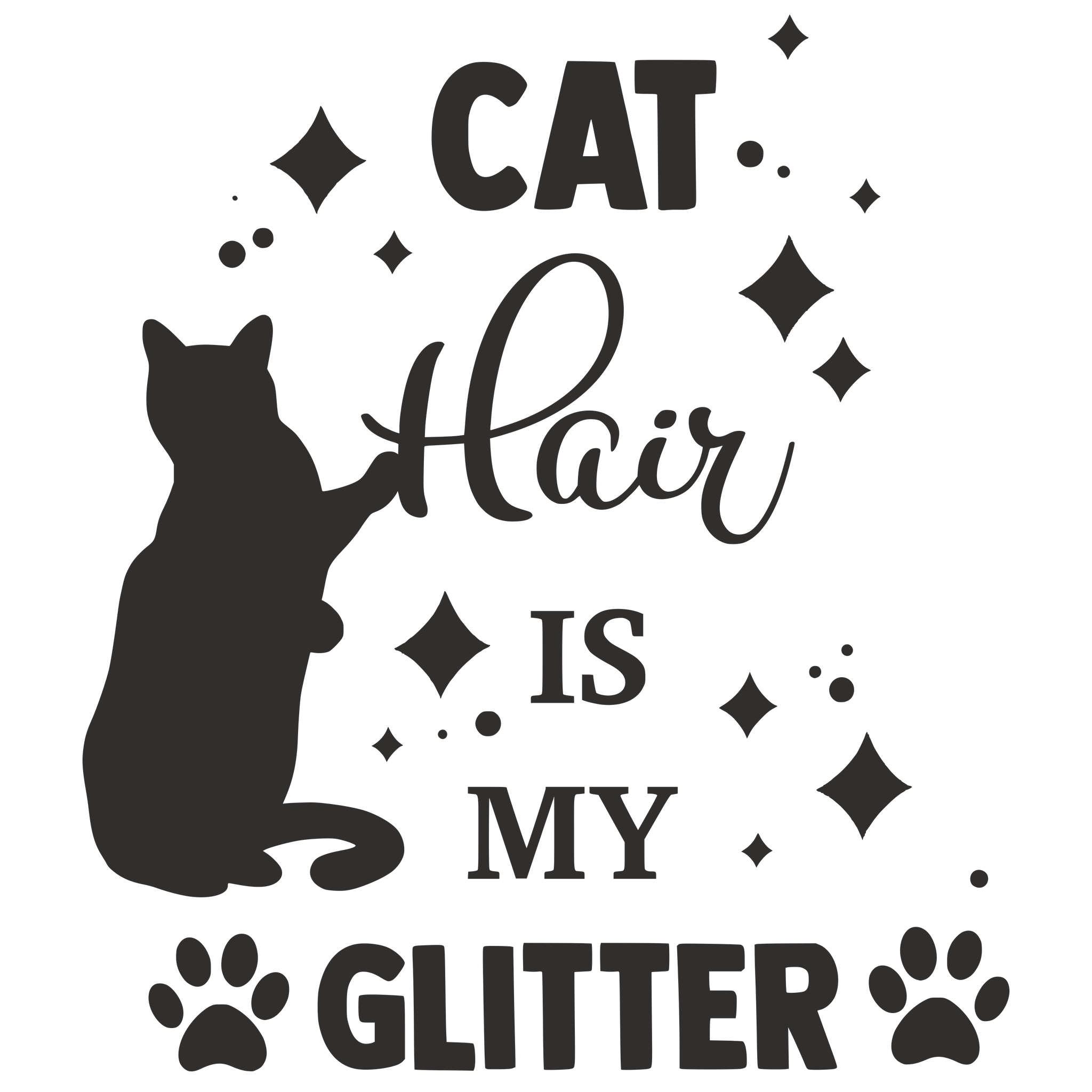 CAT HAIR IS MY GLITTER